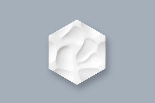 3D CORAL - Panel NMC