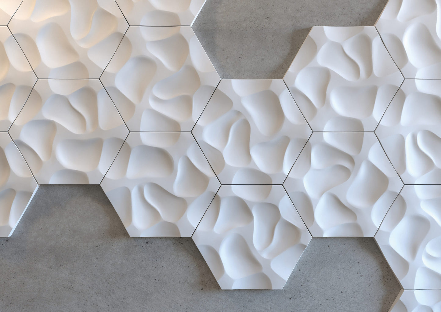 3D CORAL - Panel NMC